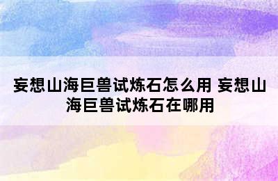 妄想山海巨兽试炼石怎么用 妄想山海巨兽试炼石在哪用